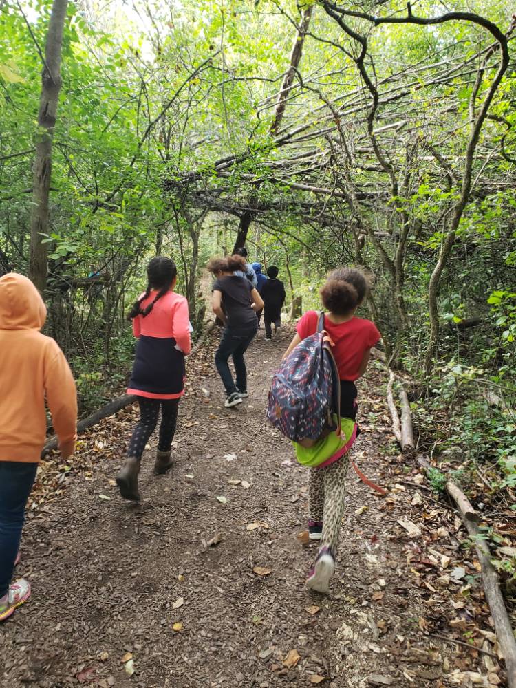 Lee Elementary students exploring the woods